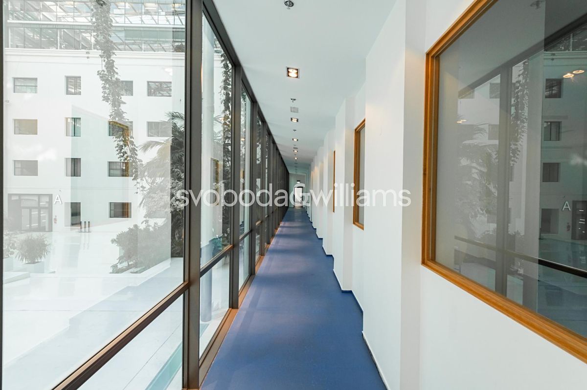 Pronájem kanceláře 173 m² – fotografie 4