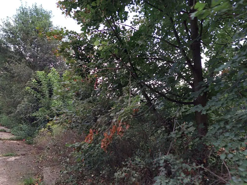 Prodej pozemku 1504 m², Želenice – náhled fotky 2