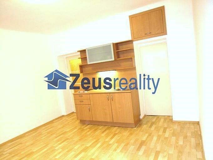 Pronájem bytu 1+kk 25 m² – fotografie 4