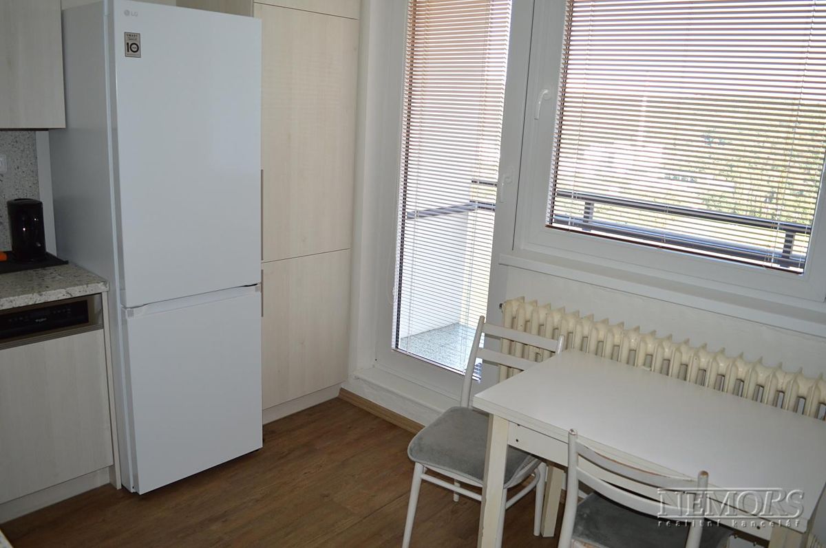 Pronájem bytu 1+1 46 m² – fotografie 4