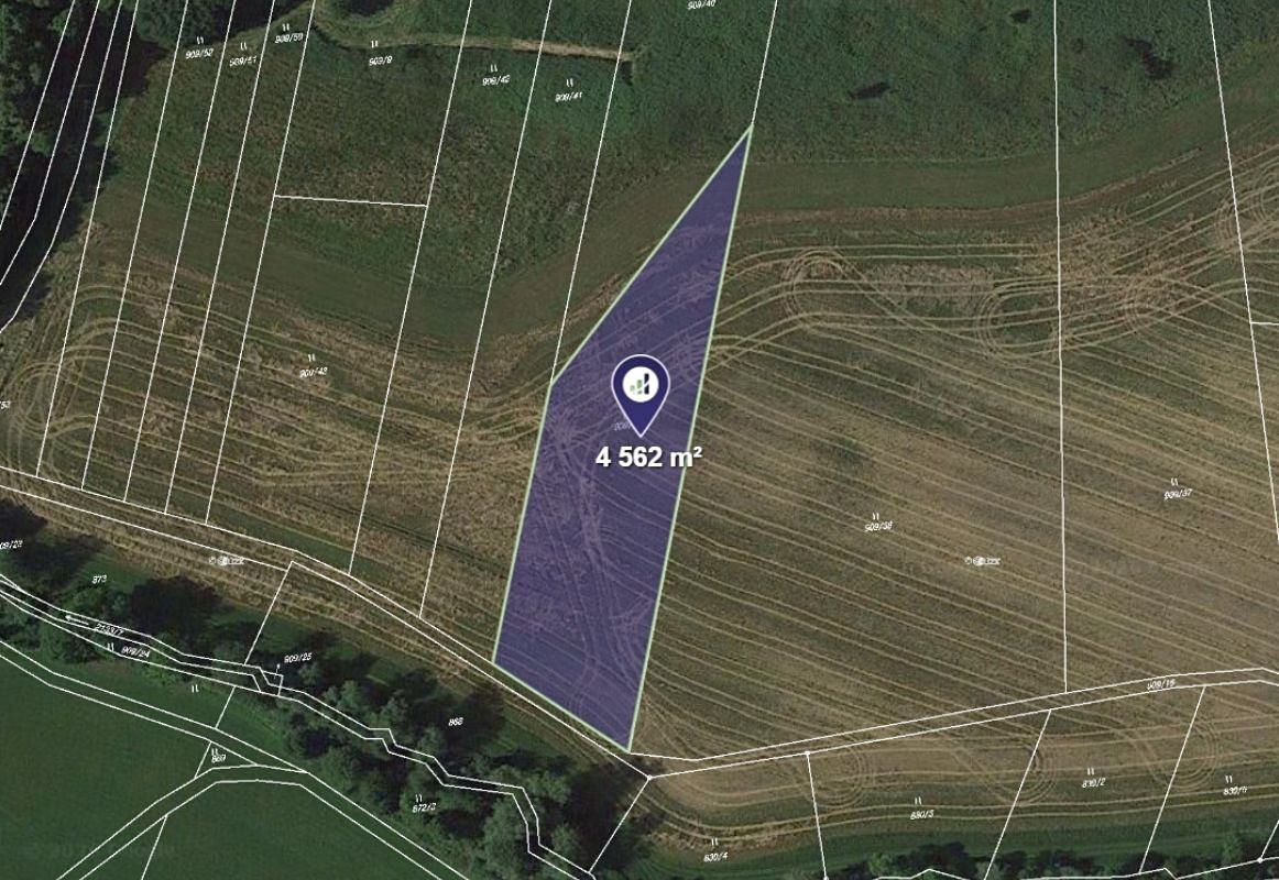 Prodej louky 4562 m²