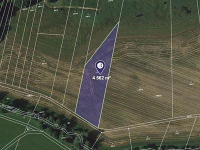 Prodej louky 4562 m²