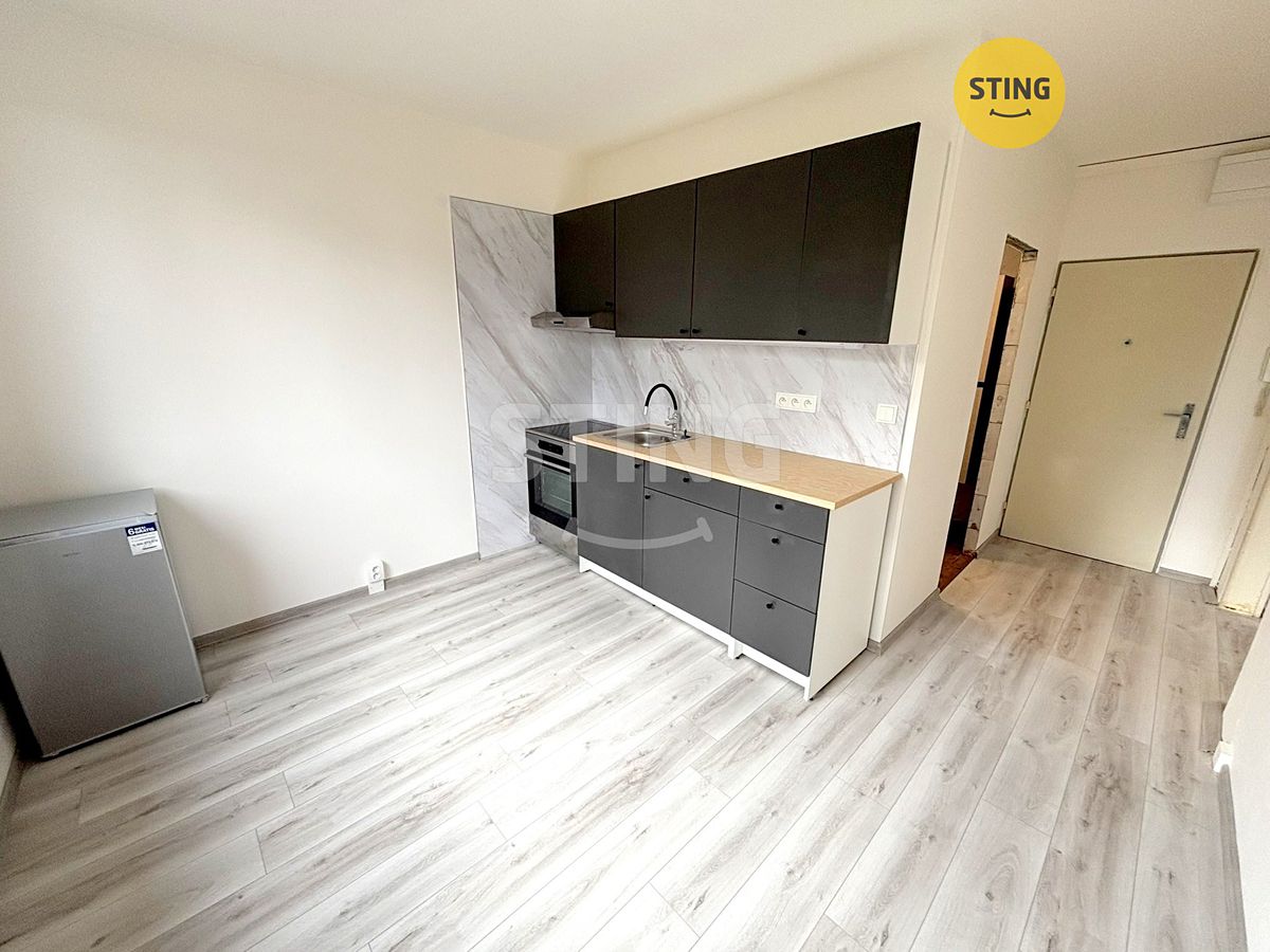 Pronájem bytu 1+1 35 m²