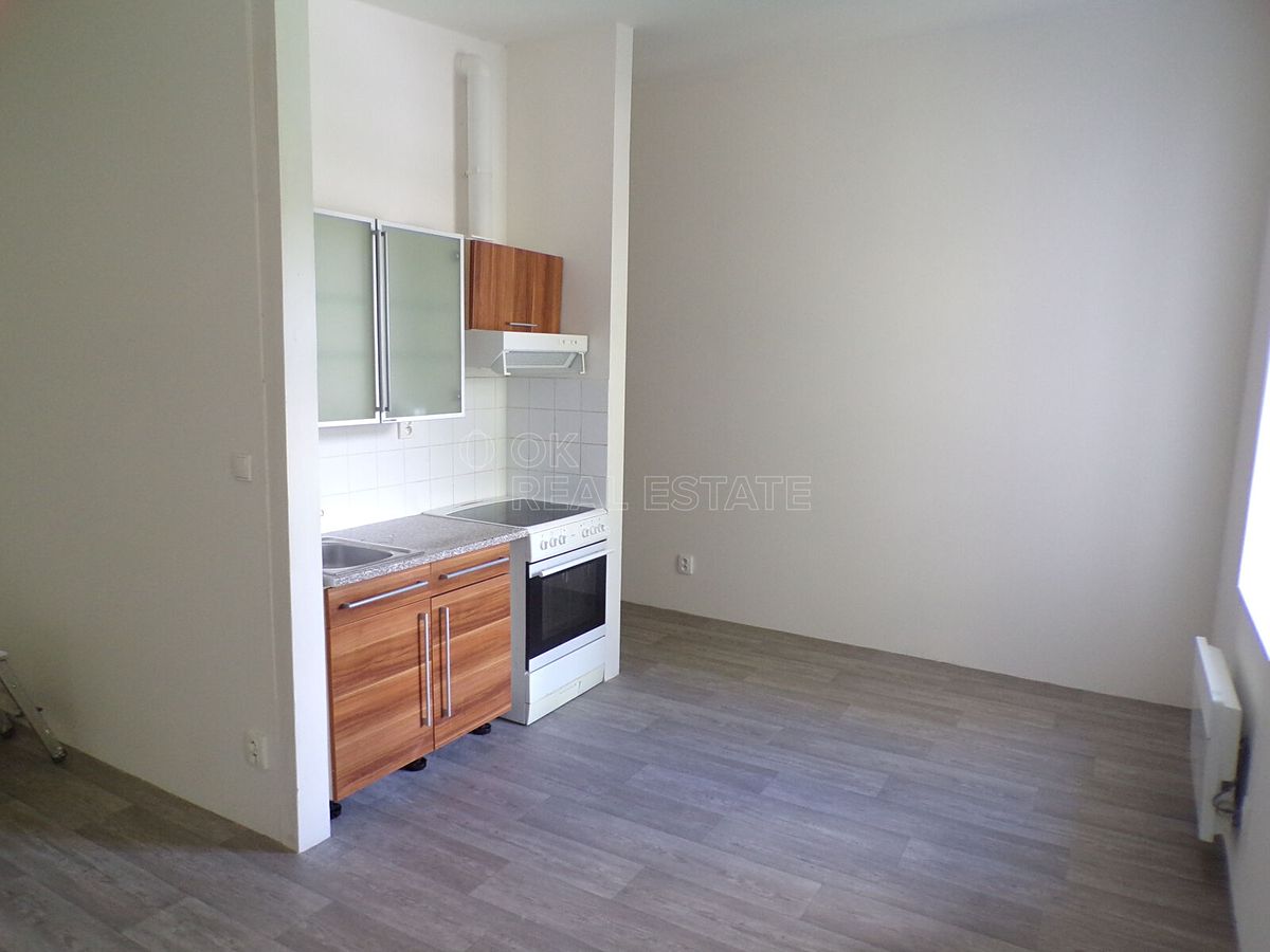 Pronájem bytu 1+kk 30 m² – fotografie 3
