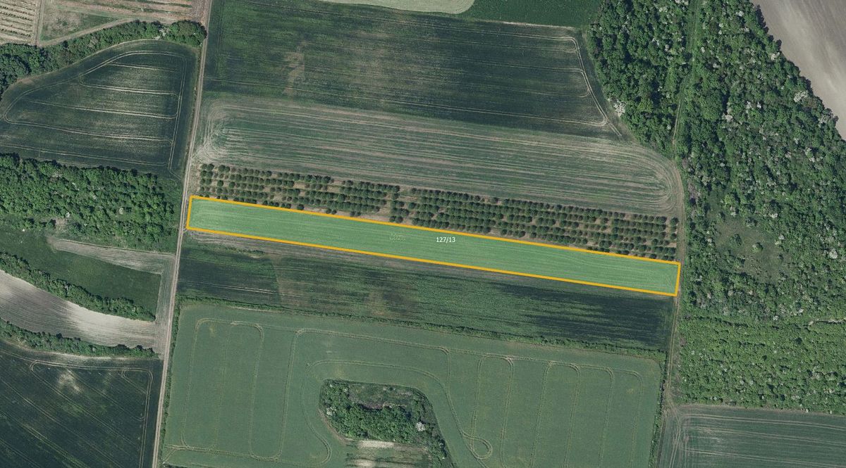 Prodej sadu, vinice 8289 m², Želkovice – fotka 1 z 3