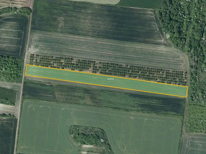 Prodej sadu, vinice 8289 m², Želkovice – náhled fotky 1