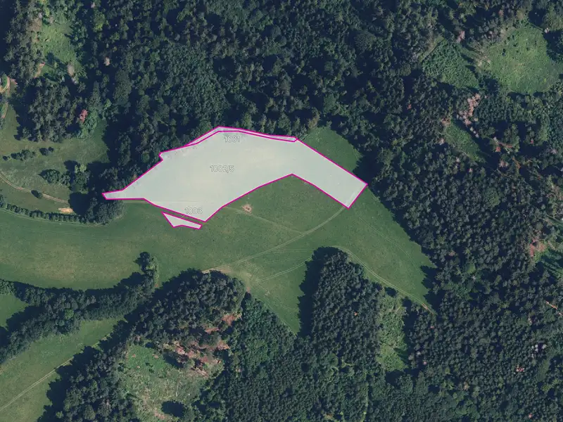 Prodej louky 18193 m², Postřelmůvek – náhled fotky 1