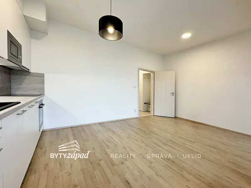 Pronájem bytu 1+kk 29 m², Plzeň – náhled fotky 3