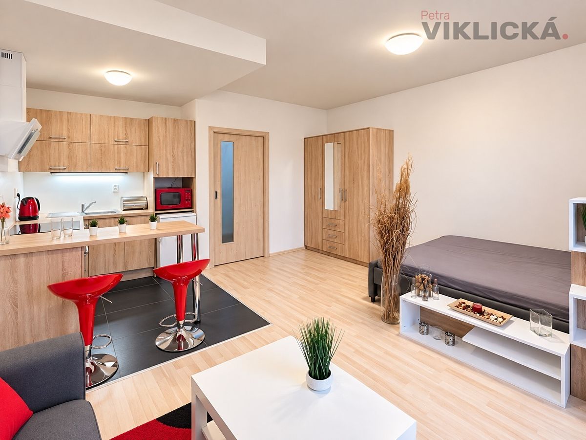 Pronájem bytu 1+kk 33 m² – fotografie 3