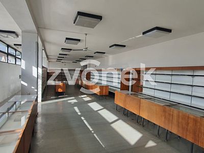 Pronájem obchodního prostoru 320 m²