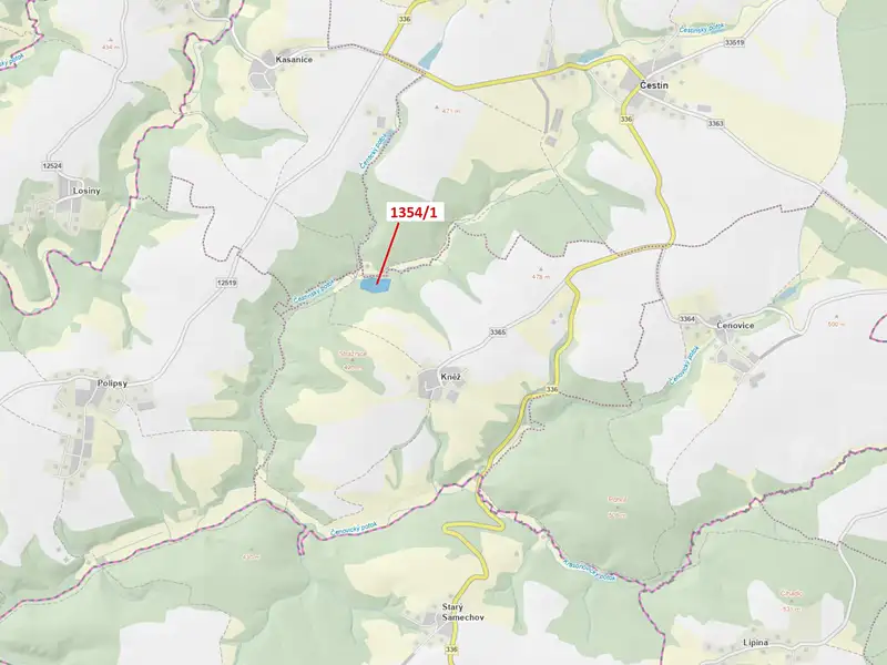 Dražba lesa 13976 m², Čestín – náhled fotky 1