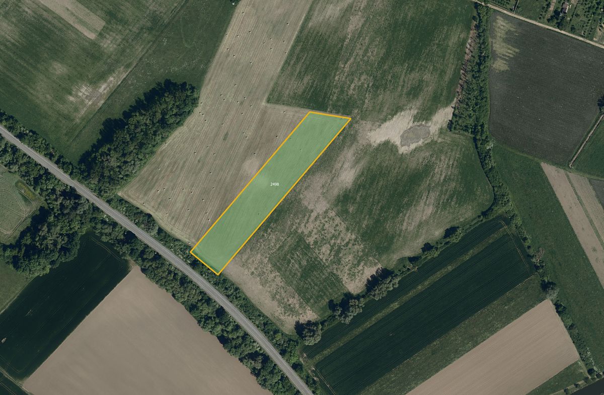 Prodej pole 2555 m²