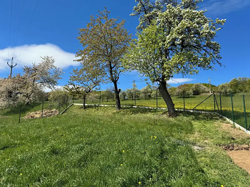 Prodej stavebního pozemku 1100 m², Synalov – náhled fotky 1