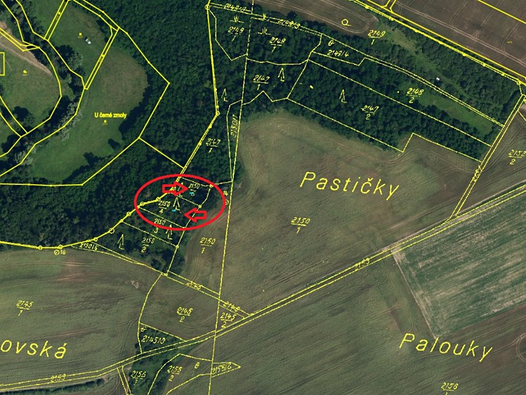 Ostatní