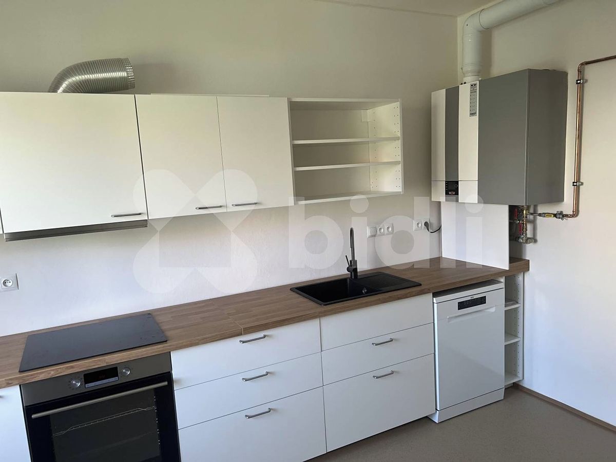 Pronájem bytu 2+1 54 m² – fotografie 2
