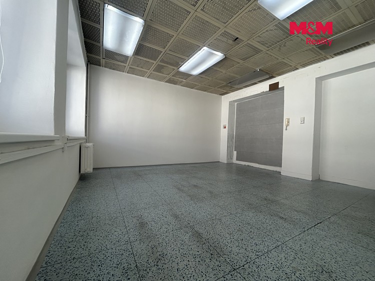 Pronájem komerčního prostoru, 20 m² (6 z 9)
