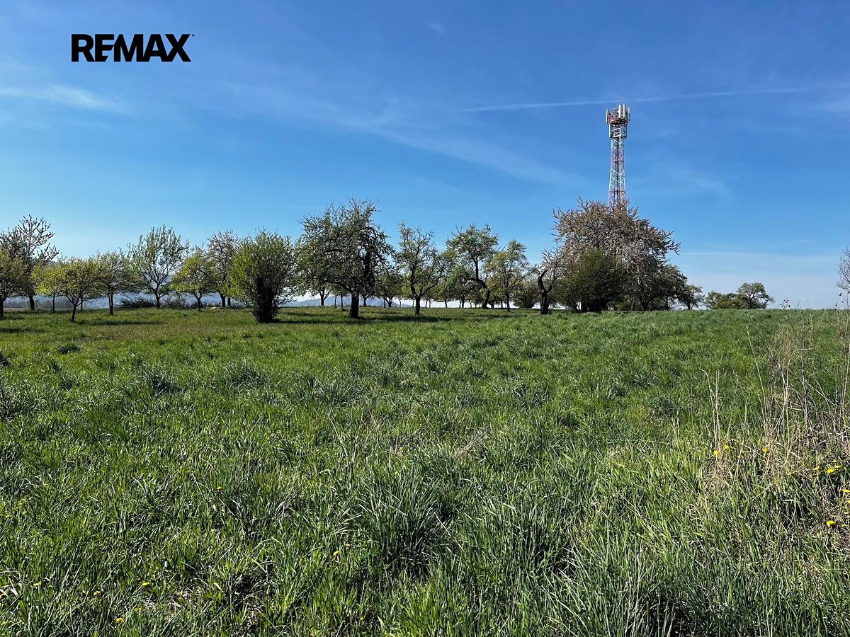 Pronájem sadu, vinice 7559 m²