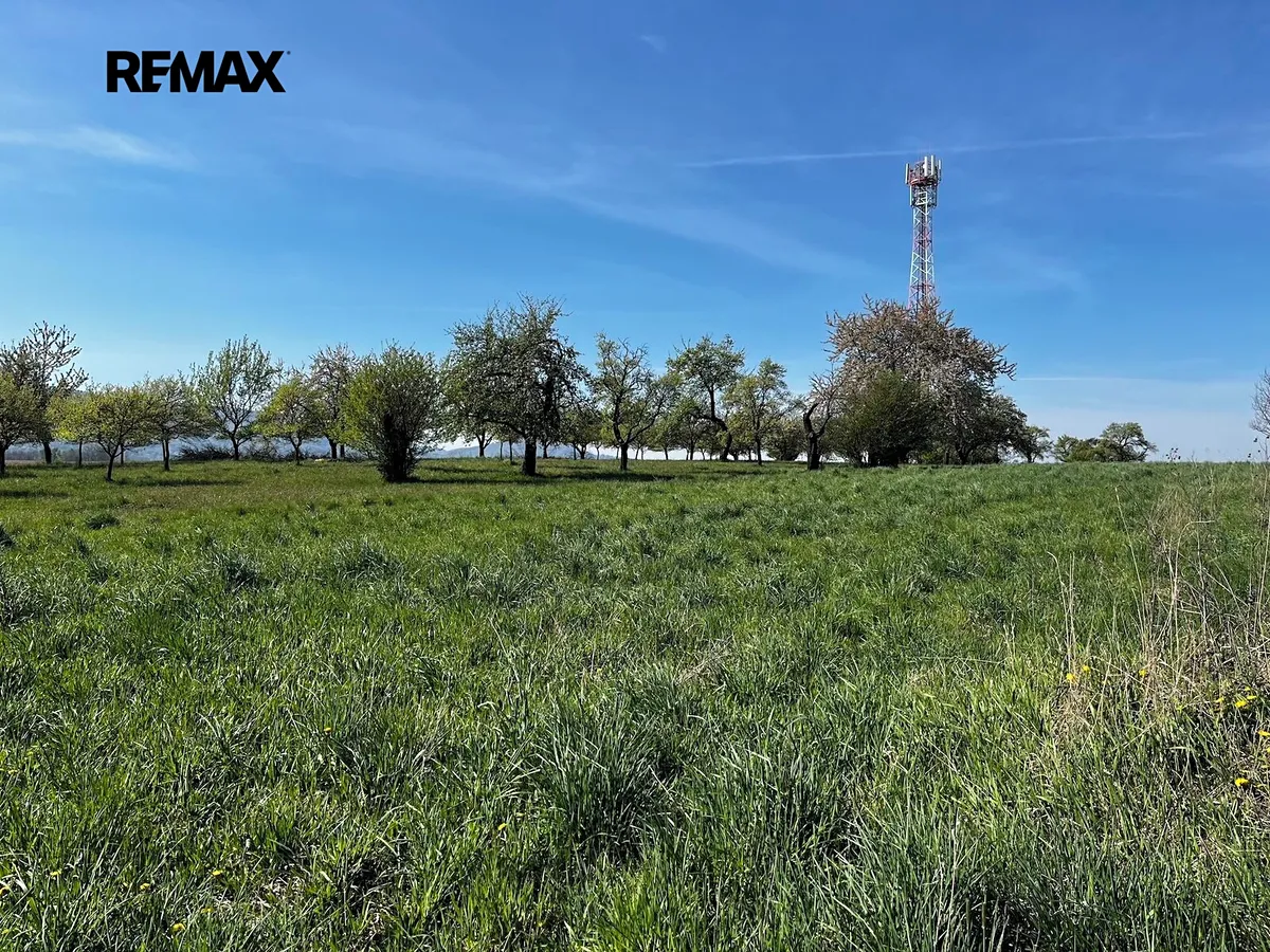 Pronájem sadu, vinice 7559 m²