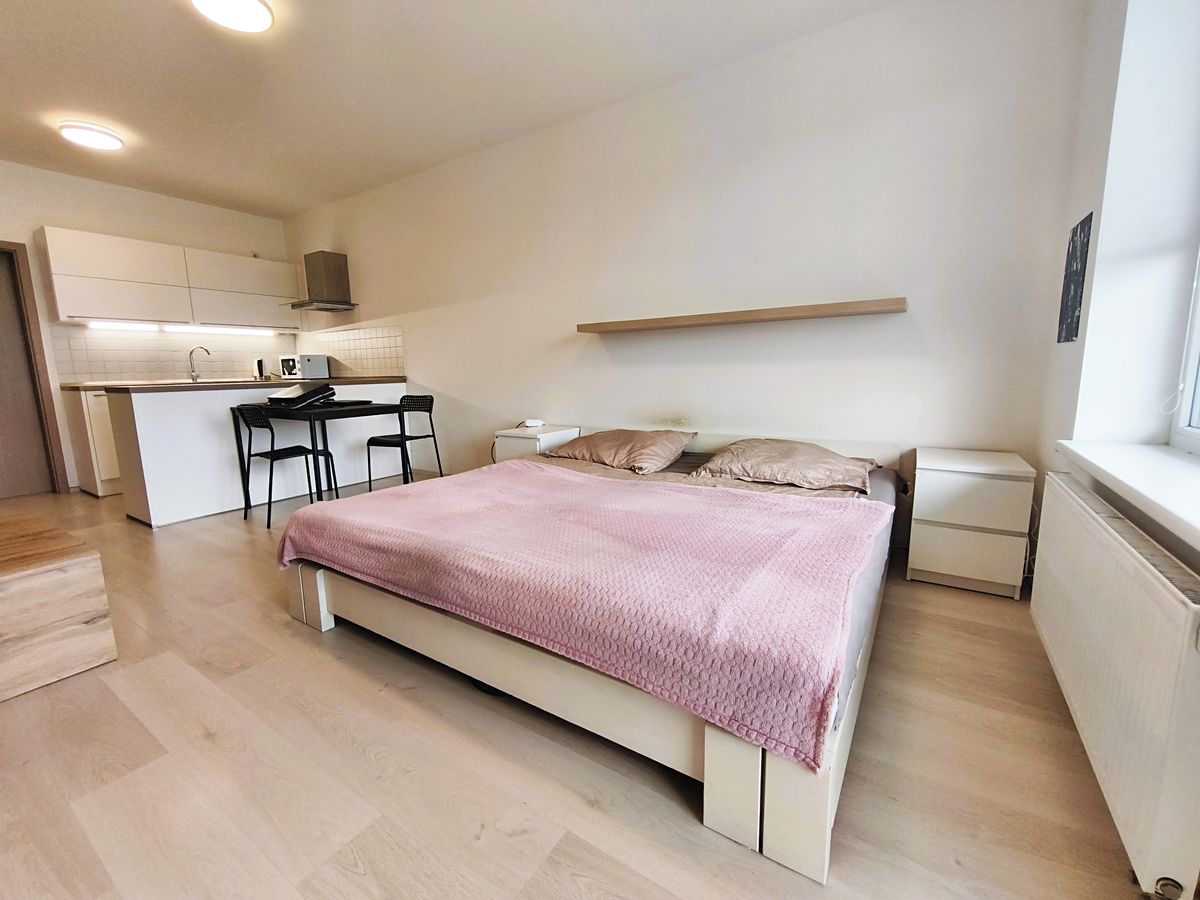 Pronájem bytu 1+kk 45 m² – fotografie 5