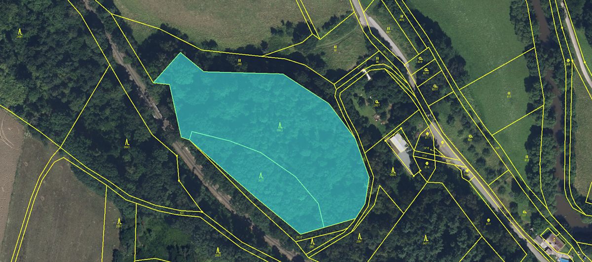 Prodej lesa 11566 m²