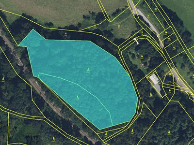Prodej lesa 11566 m²