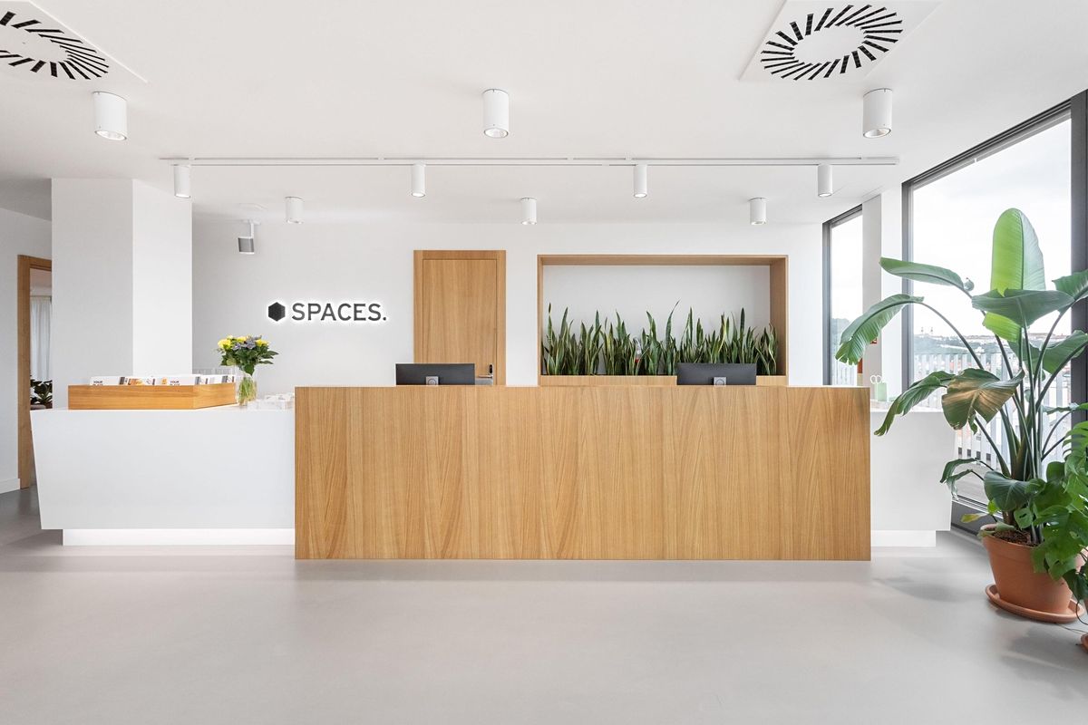 Pronájem kanceláře 25 m² – fotografie 4