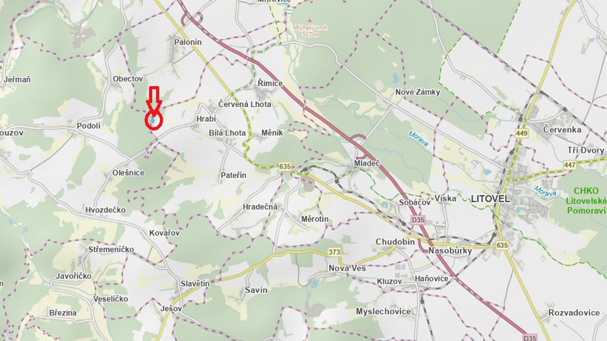 Prodej lesa 6162 m² – fotografie 3