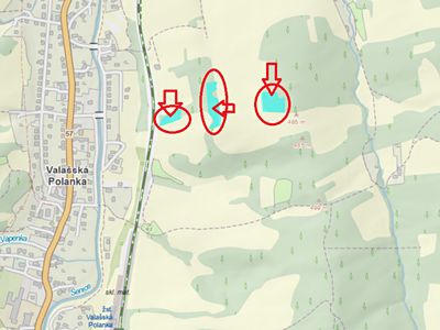 Prodej lesa 9681 m²