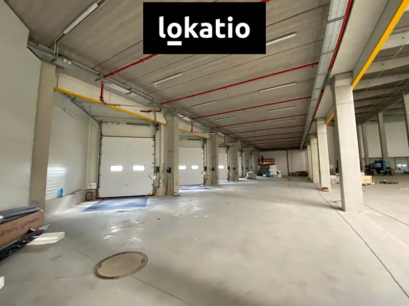 Pronájem skladového prostoru 1000 m², Mohelnice – náhled fotky 3