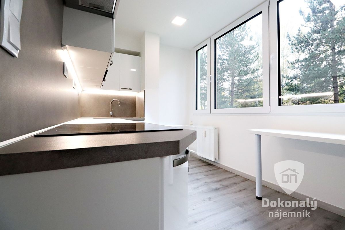 Pronájem bytu 2+1 64 m² – fotografie 5