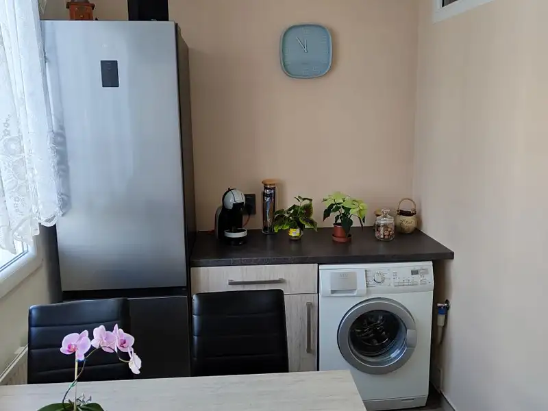 Pronájem bytu 3+1 64 m², Planá – náhled fotky 2