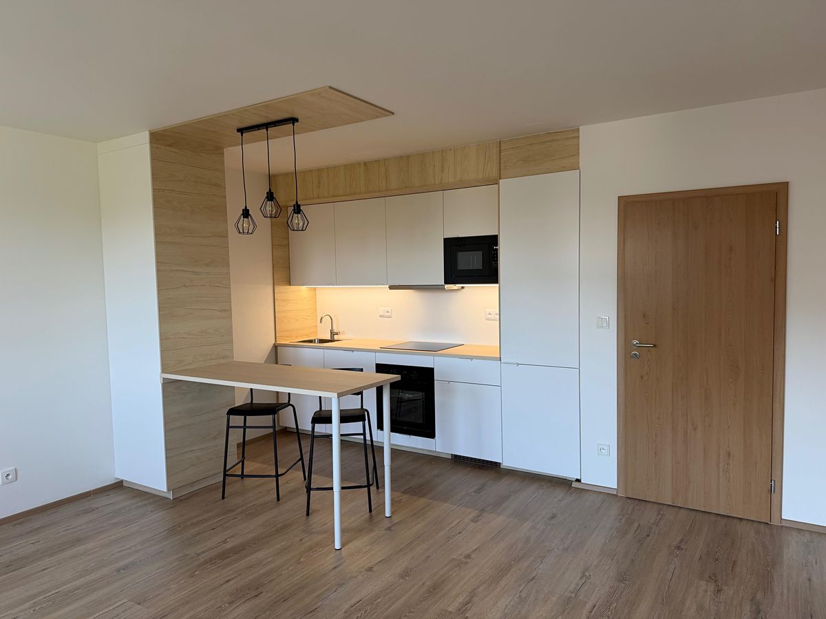 Pronájem bytu 1+kk 36 m²