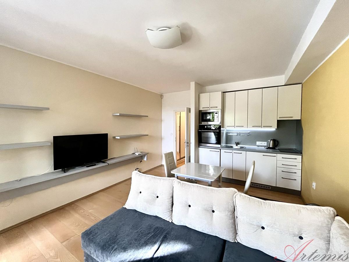 Pronájem bytu 1+kk 29 m² – fotografie 3