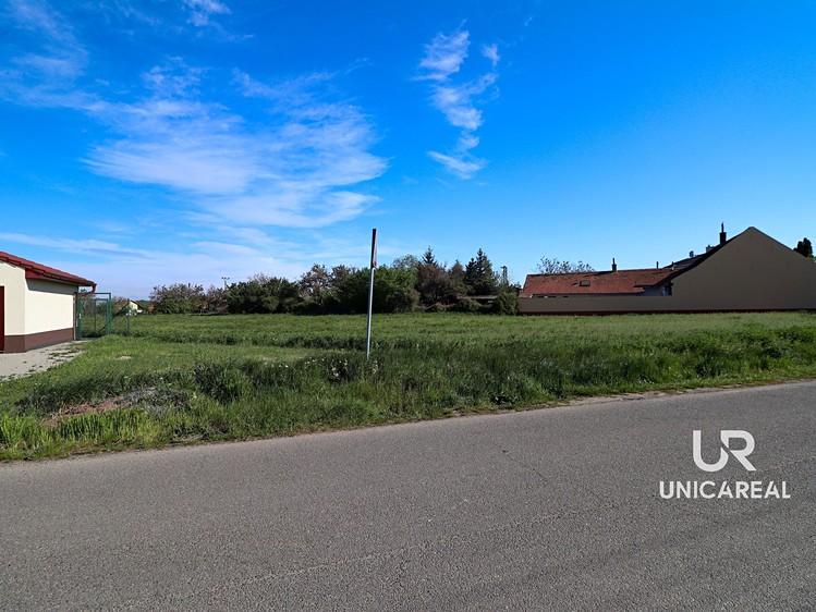 Prodej pozemku, 6 046 m² (6 z 9)