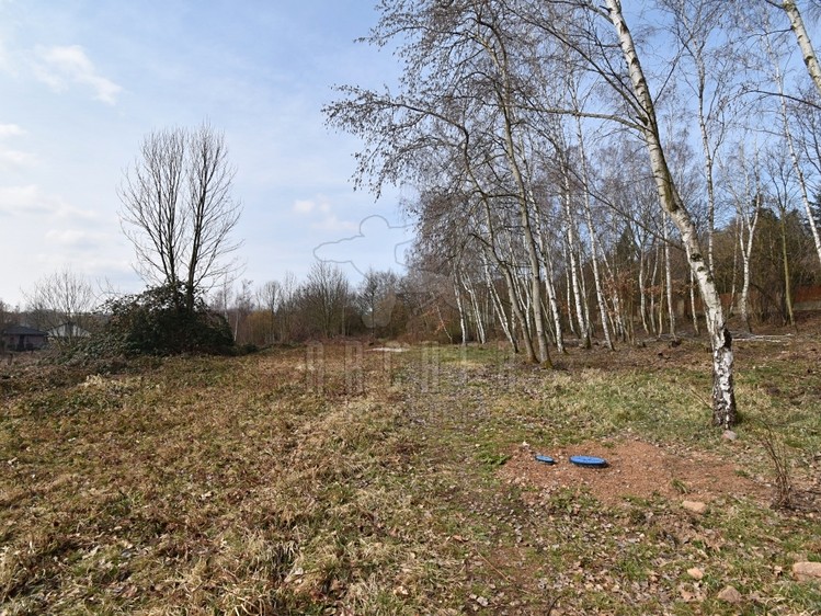 Grundstück zum Kauf, 6.184 m² (4 von 12)