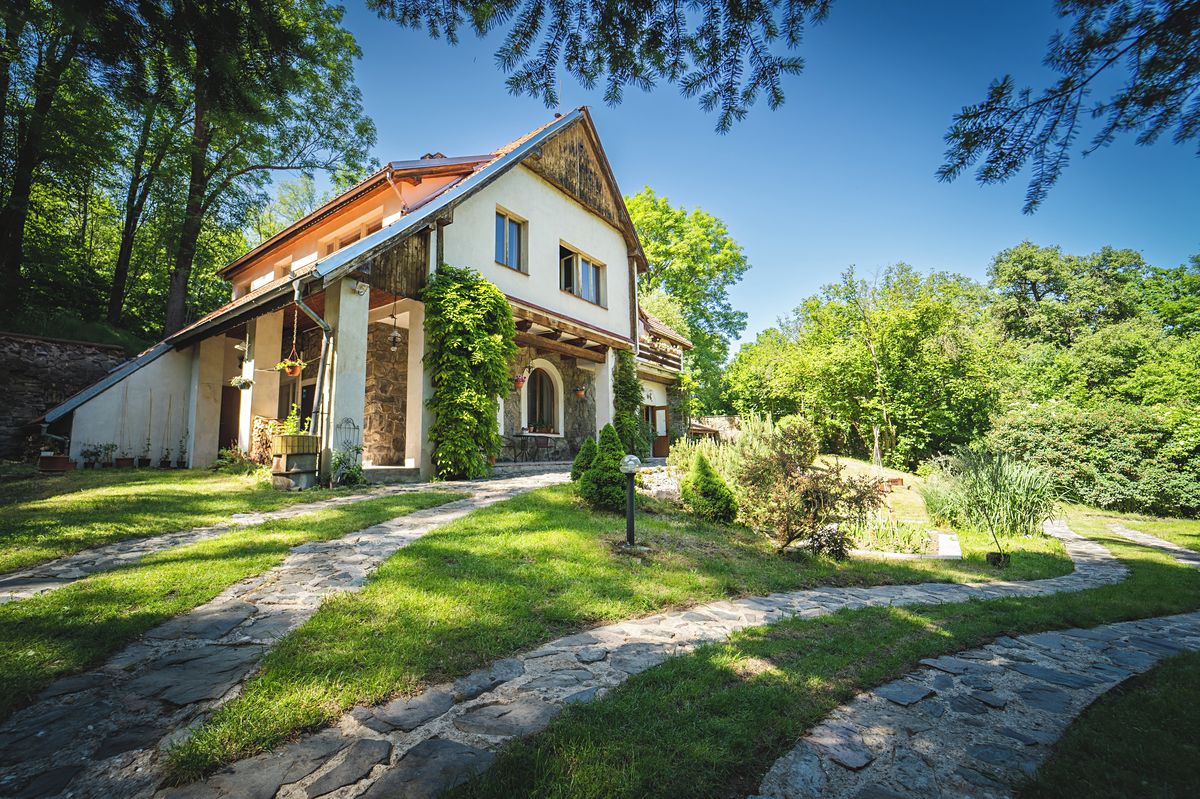 Prodej rodinného domu 236 m², pozemek 2381 m² – fotografie 2