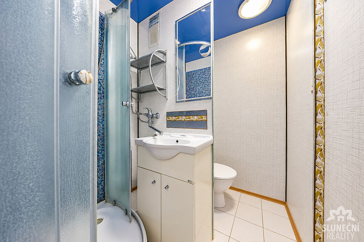 Pronájem bytu 1+1 31 m² – fotografie 5