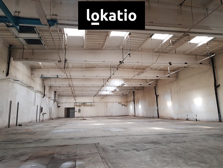 Pronájem komerčního prostoru, 3 000 m² (9 z 13)
