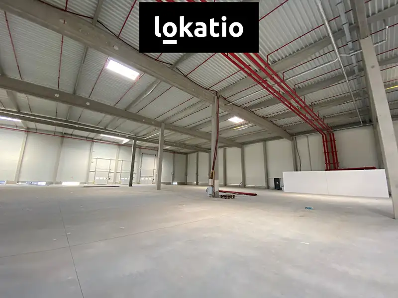Pronájem výrobní haly, prostoru 10242 m², Olomouc – náhled fotky 2