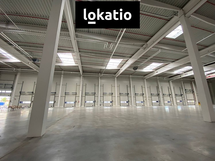 Комерційне приміщення в оренду, 4 323 м² (4 з 12)