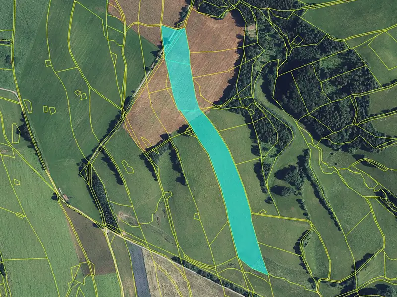 Prodej pole 42854 m², Jedlí – náhled fotky 1