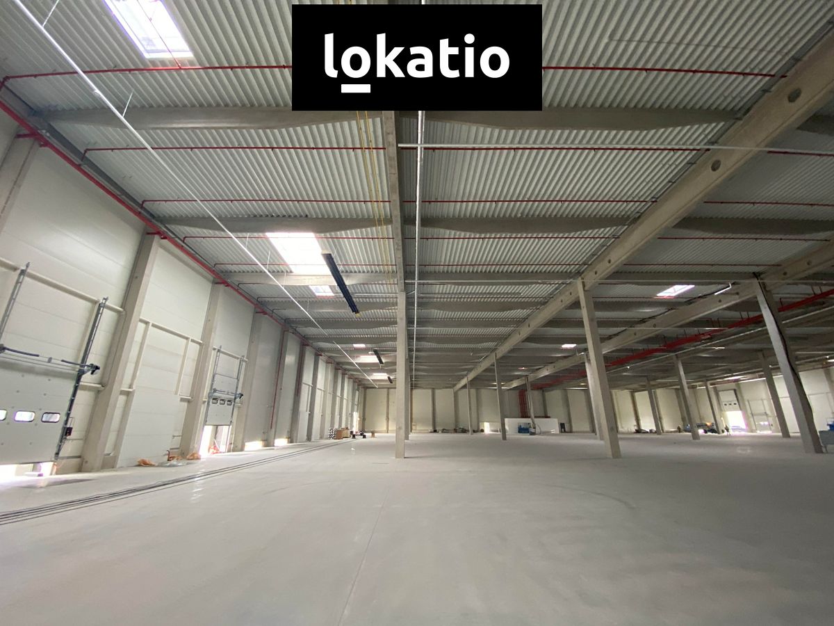 Pronájem skladového prostoru 8500 m² – fotografie 2