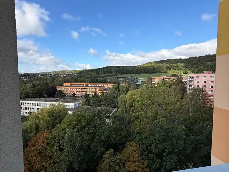 Prodej bytu 1+1 42 m², Chomutov – náhled fotky 3