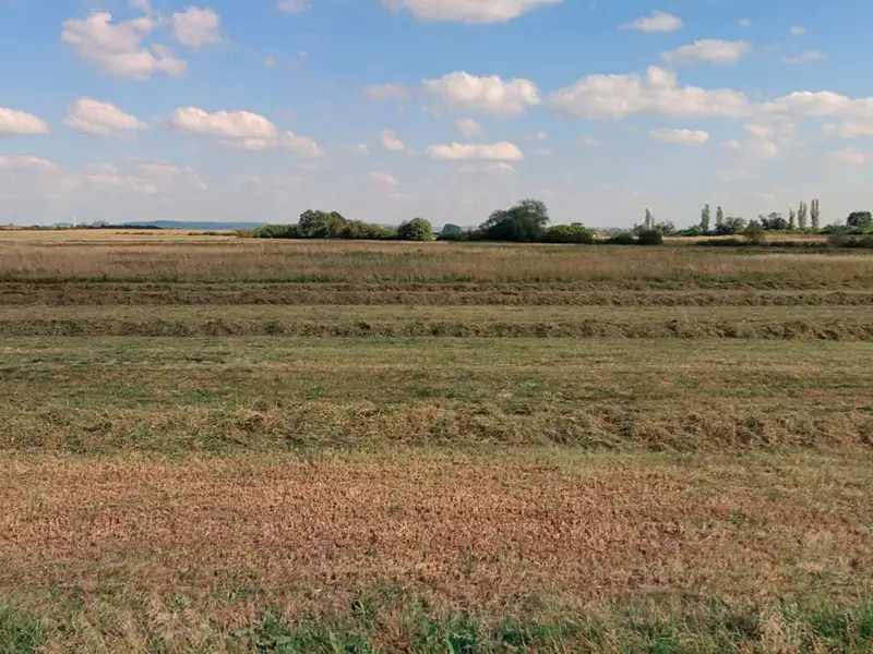 Prodej pozemku 2172 m², Dolní Roveň – náhled fotky 2