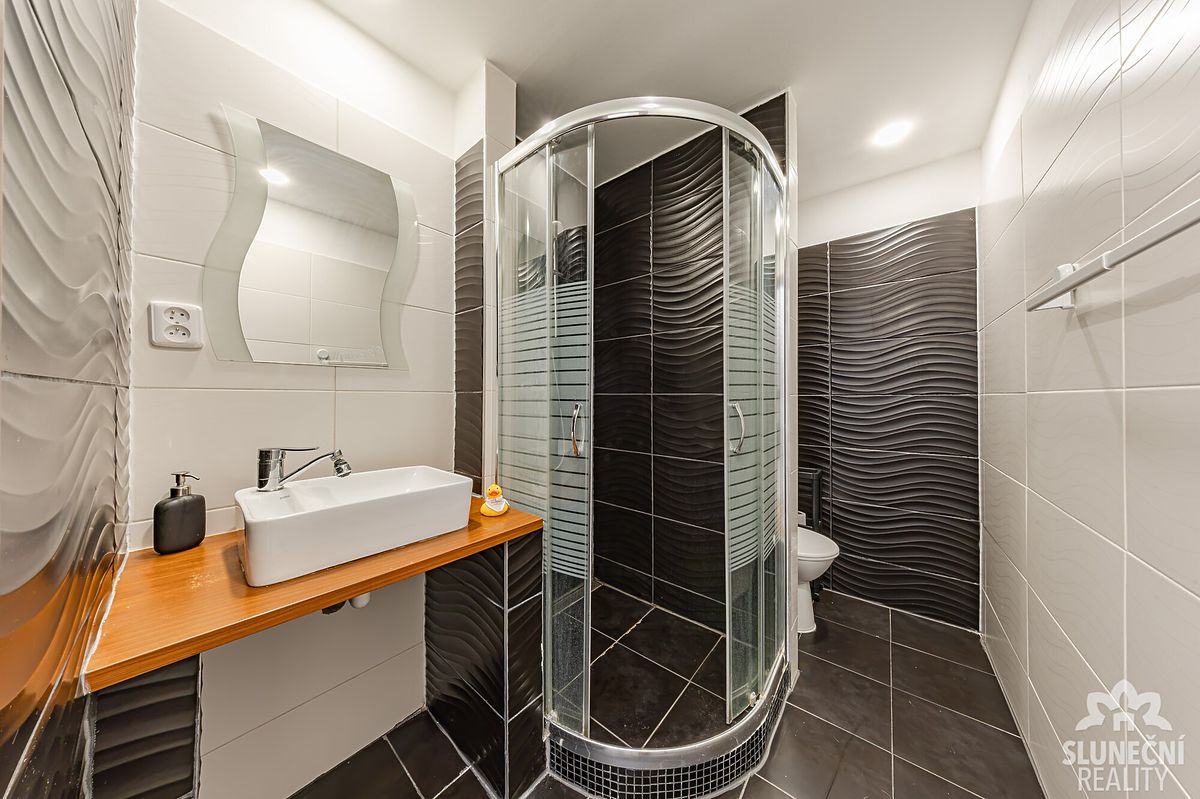 Pronájem bytu 1+1 44 m² – fotografie 5