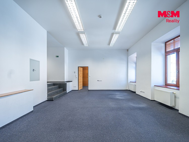 Комерційне приміщення в оренду, 206 м² (4 з 14)