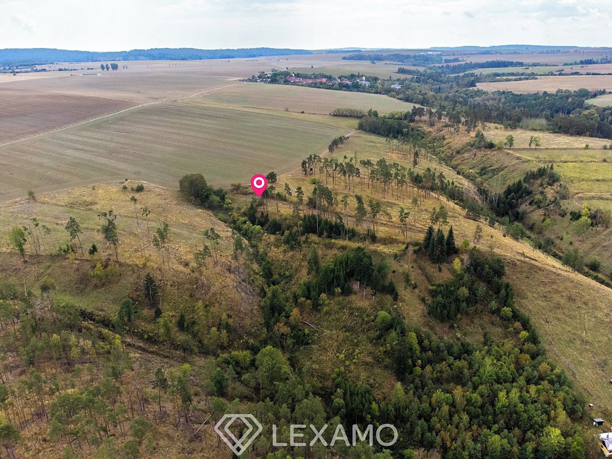 Prodej lesa 15246 m² – fotografie 2
