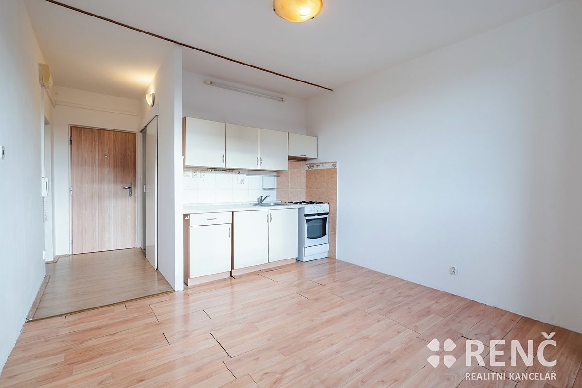 Prodej bytu 1+1 42 m² – fotografie 3