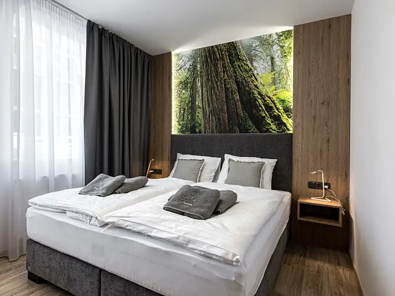 Prodej bytu 2+kk 52 m², Karlova Studánka – náhled fotky 3