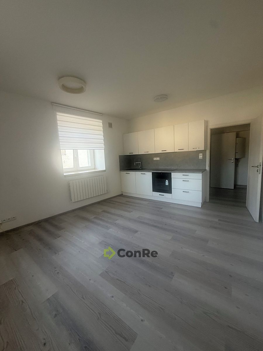 Pronájem bytu 1+kk 31 m² – fotografie 3